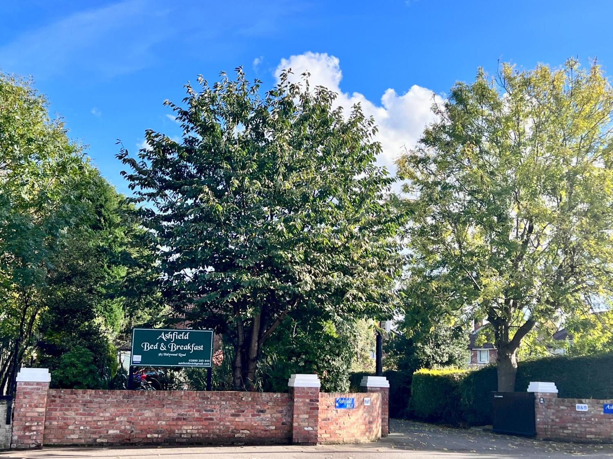 Ashfield Bed & Breakfast Μπέλφαστ Εξωτερικό φωτογραφία