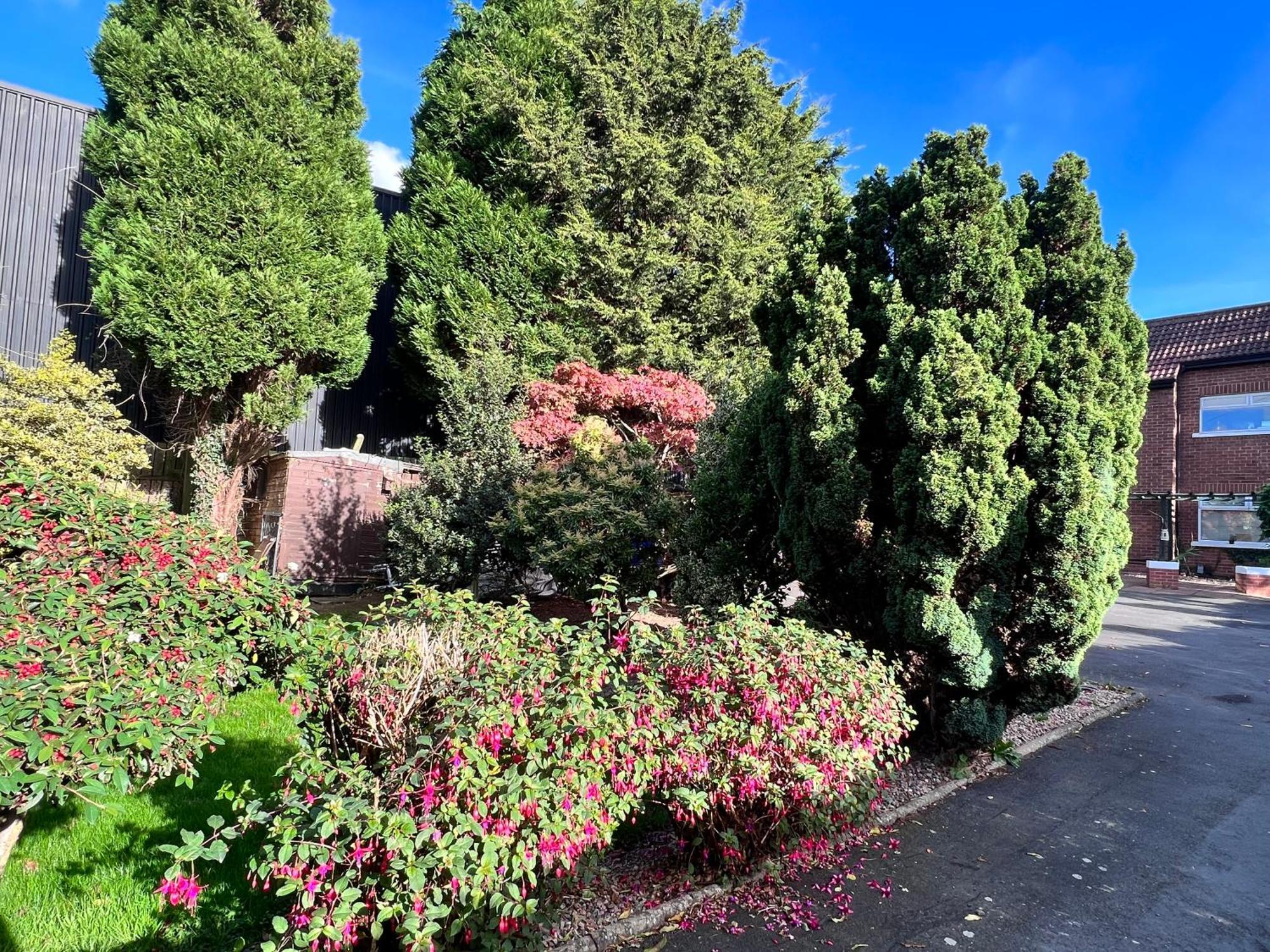 Ashfield Bed & Breakfast Μπέλφαστ Εξωτερικό φωτογραφία