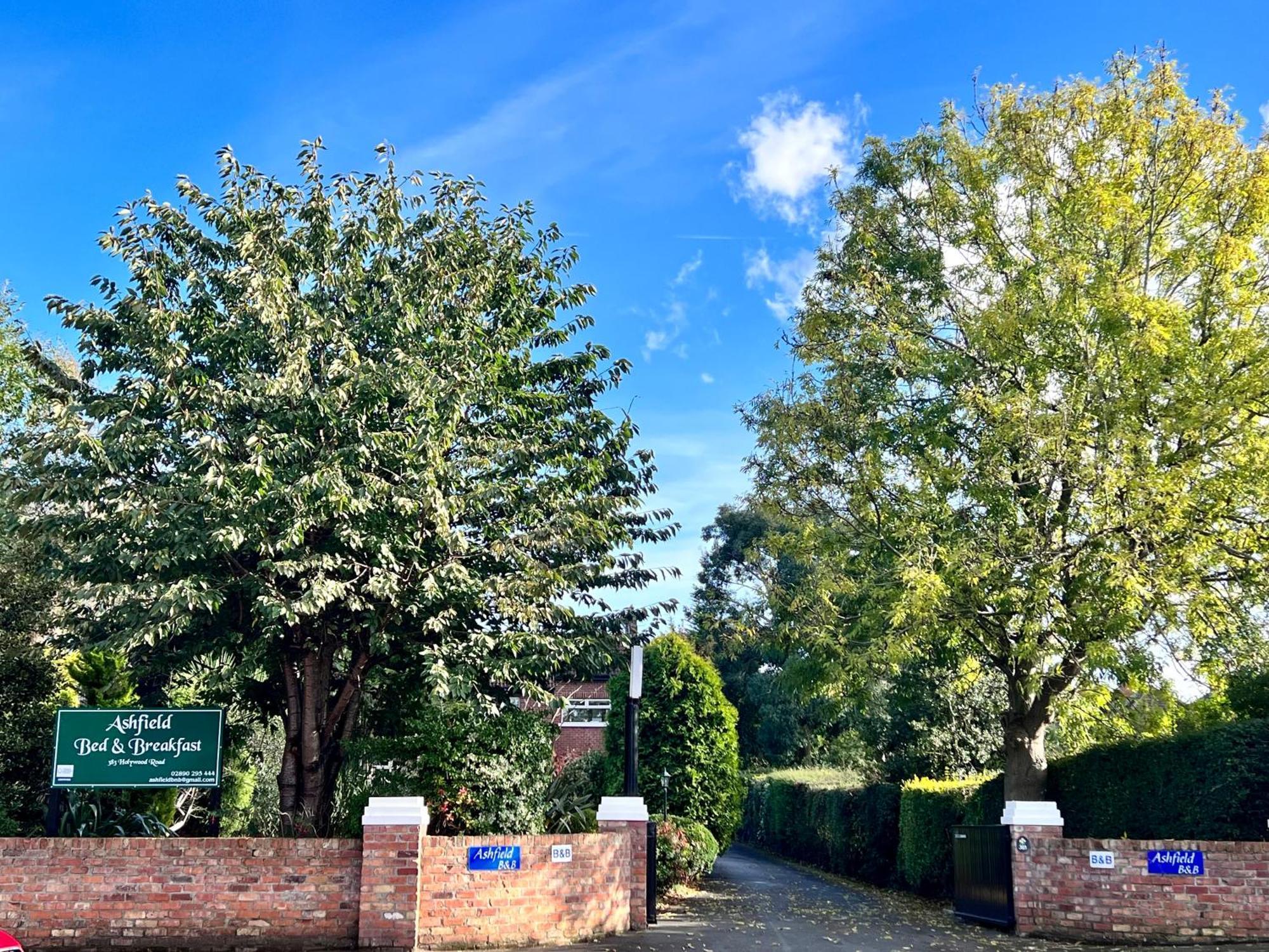 Ashfield Bed & Breakfast Μπέλφαστ Εξωτερικό φωτογραφία